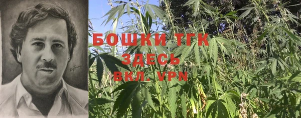 крисы Медвежьегорск