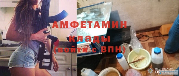 крисы Медвежьегорск