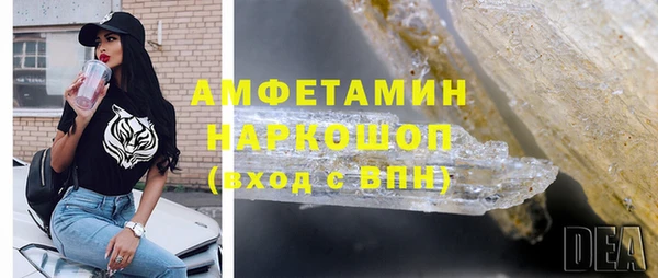 крисы Медвежьегорск