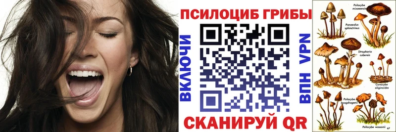 Псилоцибиновые грибы MAGIC MUSHROOMS  Талдом 